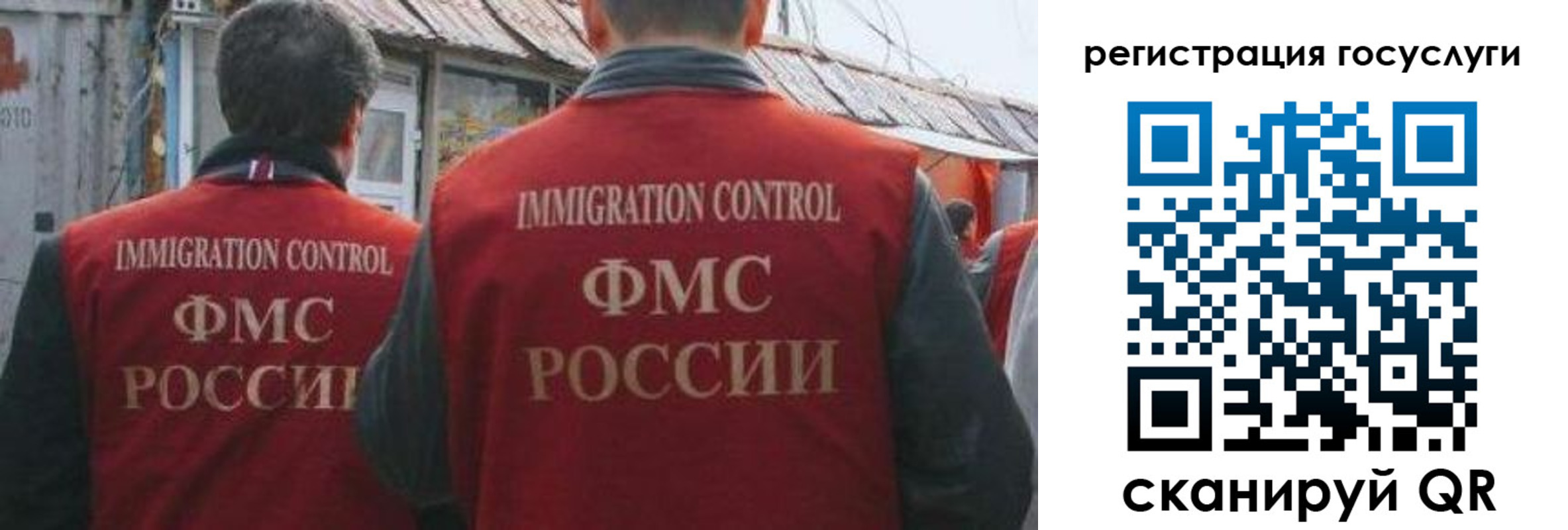 прописка поиск в Ермолино